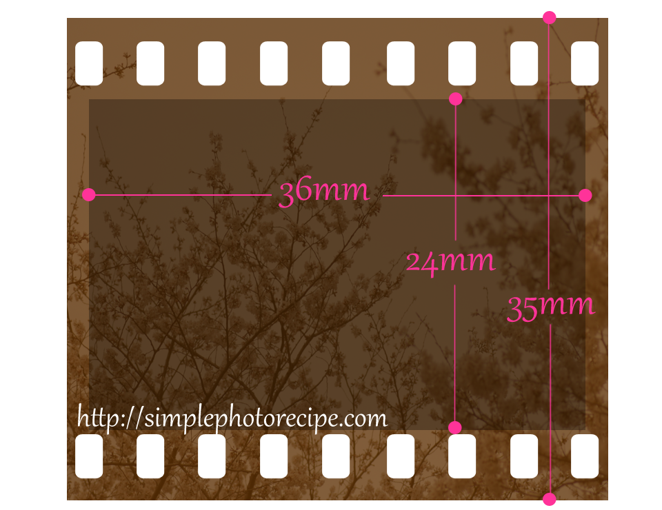 35mmフィルムのサイズ