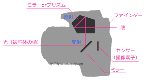 デジタル一眼レフカメラとミラーレスカメラの違い１