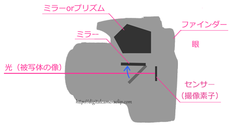 デジタル一眼レフカメラとミラーレスカメラの違い１