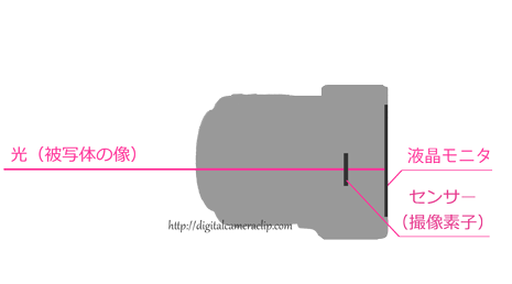 デジタル一眼レフカメラとミラーレスカメラの違い１