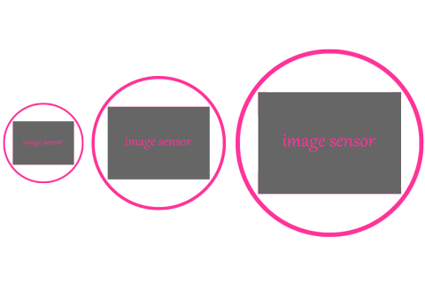 デジタル一眼レフカメラとミラーレスカメラの違い１